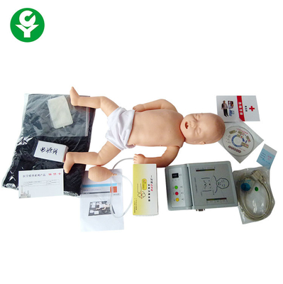 الإنسان رعاية المرضى القزم محاكاة الرضع الإنعاش القلبي التدريس